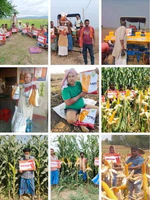 Product Development Activity