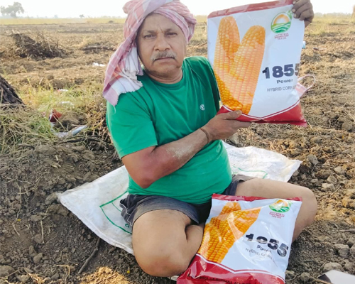 maize seed manufacturers in Hyderabad, India